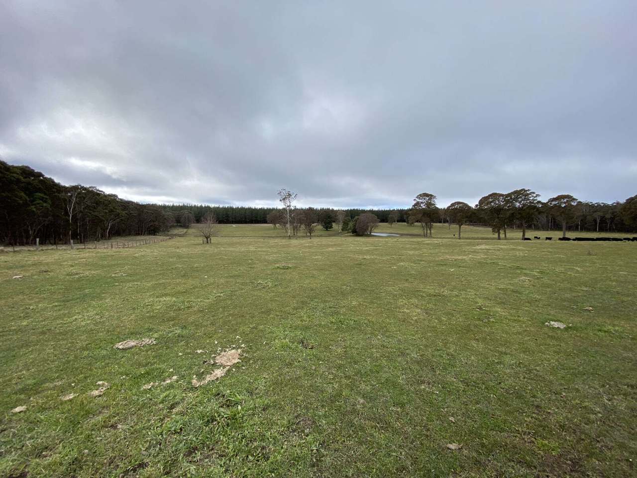 Hampton Sold by Farmbuy.com - image 10