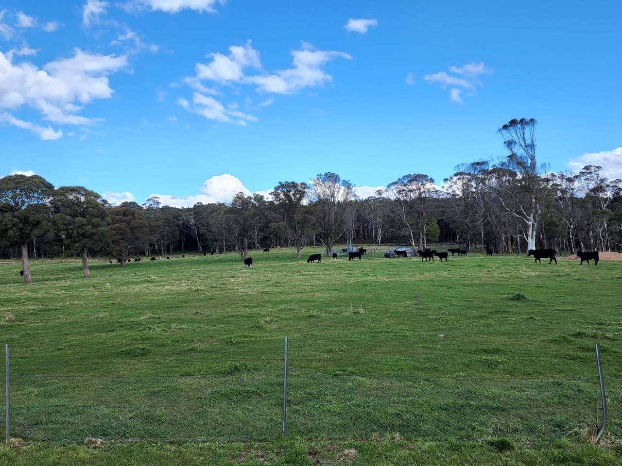 Hampton Sold by Farmbuy.com - image 7