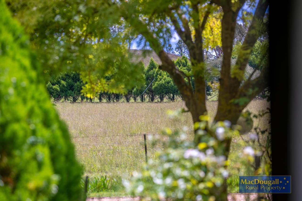 30 Trevellie Lane, Armidale Sold by Farmbuy.com - image 21