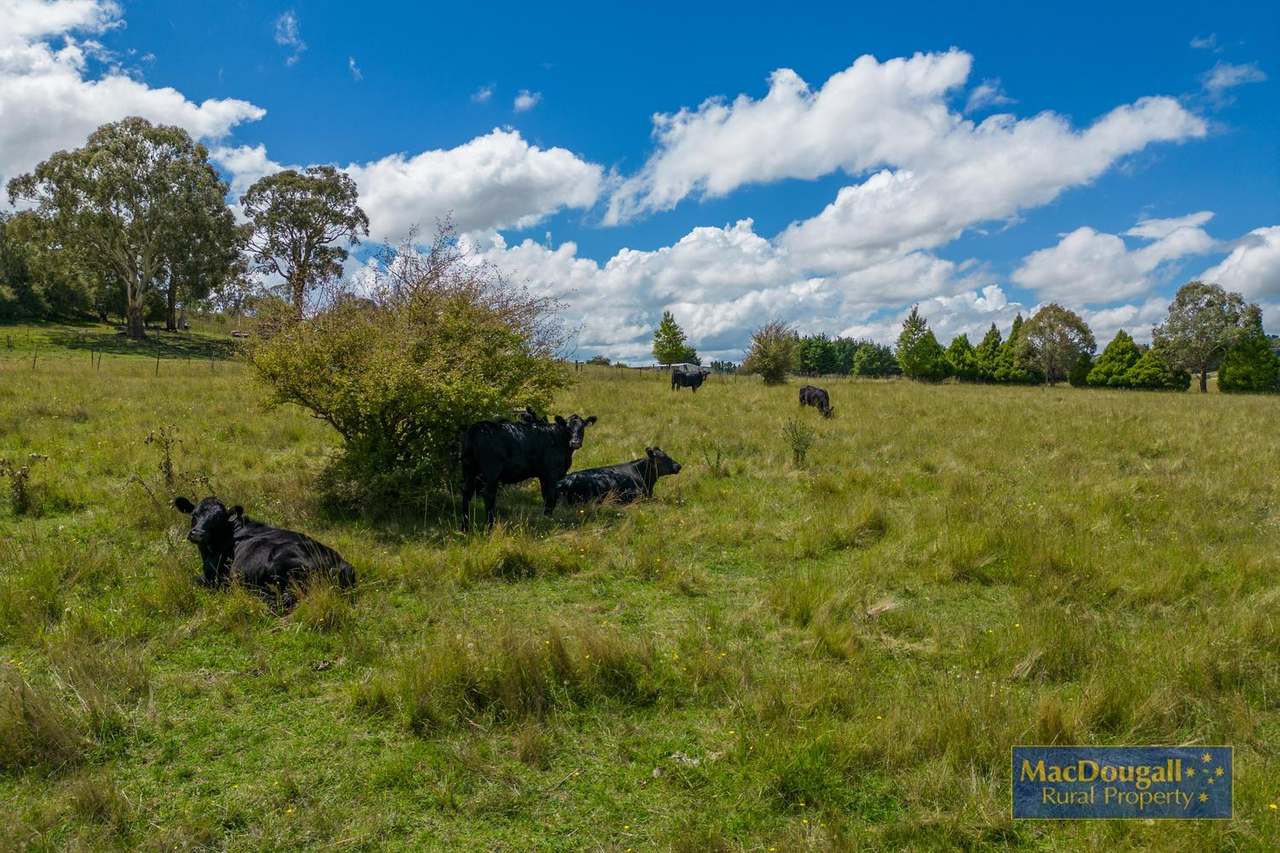 30 Trevellie Lane, Armidale Sold by Farmbuy.com - image 32