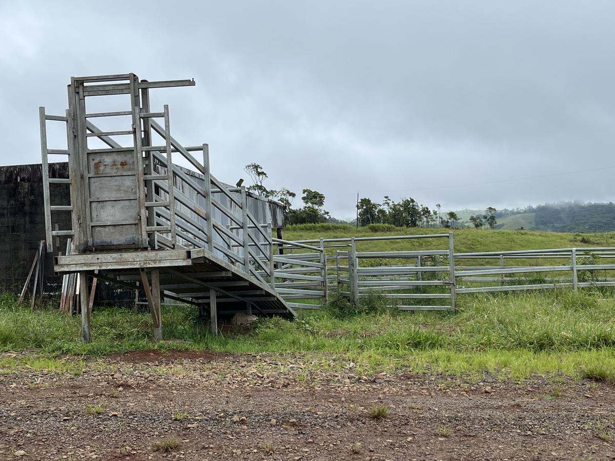 Tarzali Auction by Farmbuy.com - image 3