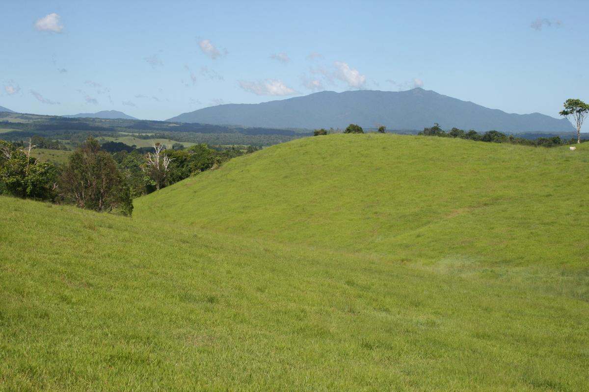 Tarzali Auction by Farmbuy.com - image 13