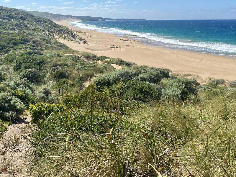 Lot 1311 Woodarburrup Road, Scott River East  Sold by Farmbuy.com - image 8