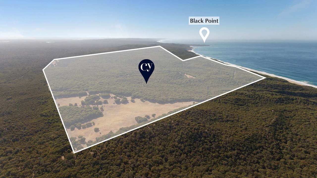 Lot 1311 Woodarburrup Road, Scott River East  Sold by Farmbuy.com - image 3