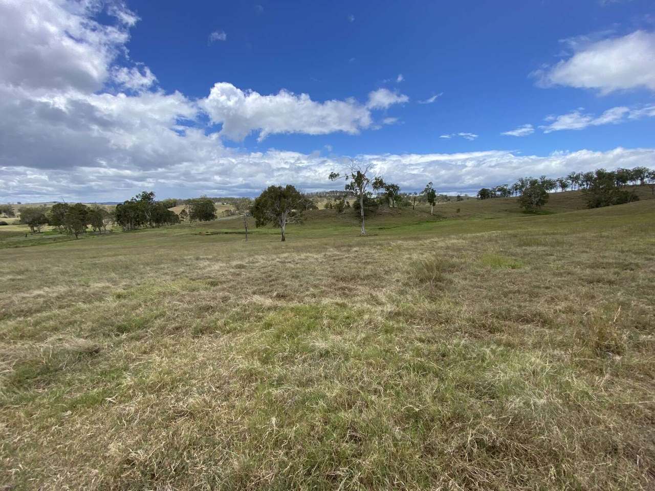 2430 Beaudesert Boonah Road, Bromelton Expressions of Interest by Farmbuy.com - image 11