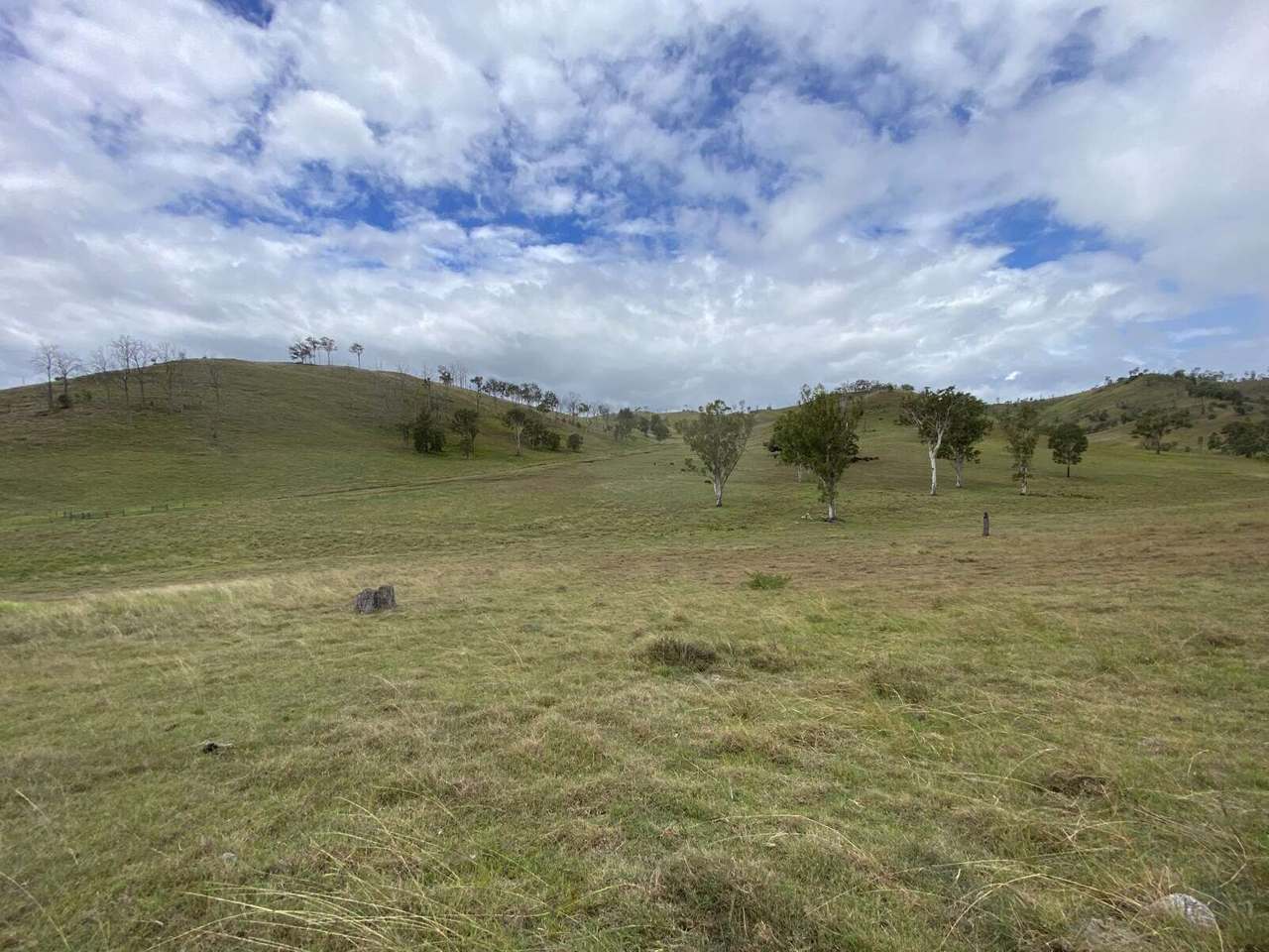 2430 Beaudesert Boonah Road, Bromelton Expressions of Interest by Farmbuy.com - image 10