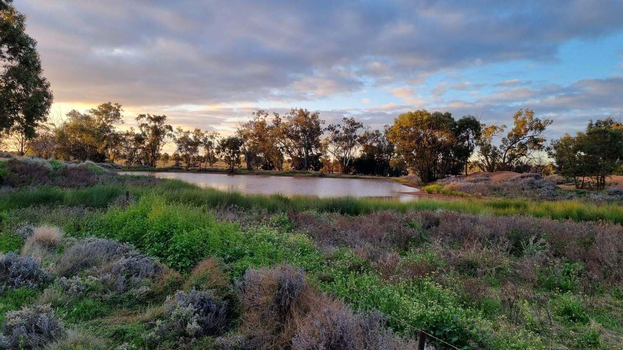 Yarrandale Rd, Hermidale For Sale by Farmbuy.com - image 9