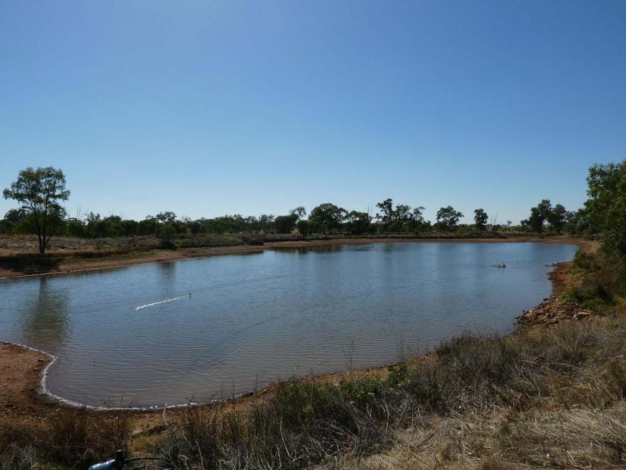 Yarrandale Rd, Hermidale For Sale by Farmbuy.com - image 7