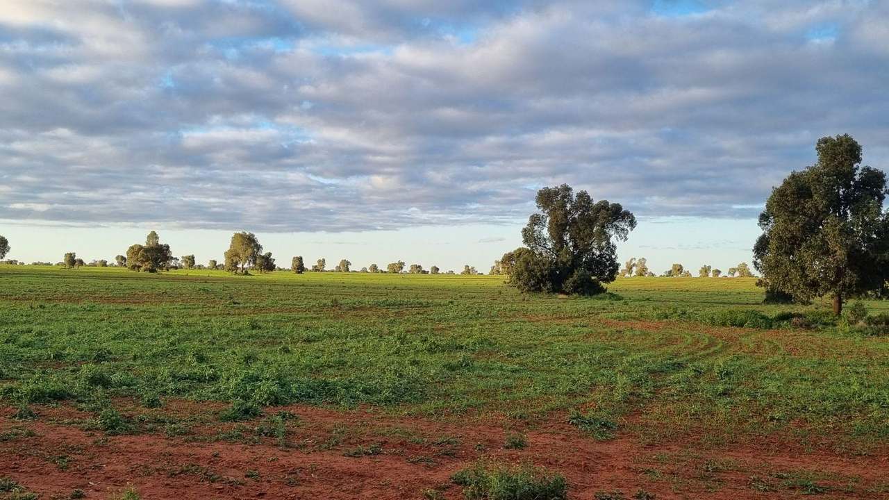 Yarrandale Rd, Hermidale For Sale by Farmbuy.com - image 5
