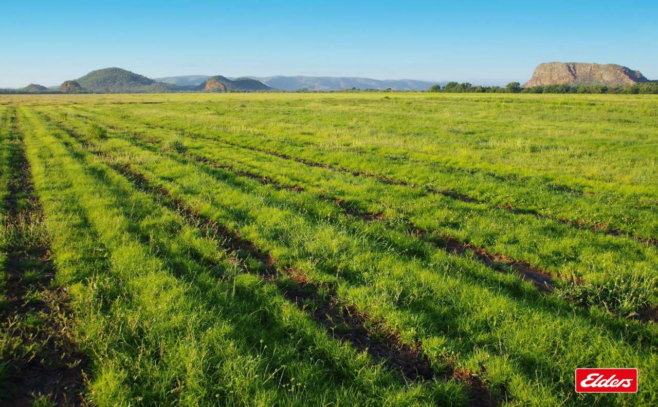 Kununurra For Sale by Farmbuy.com - image 6