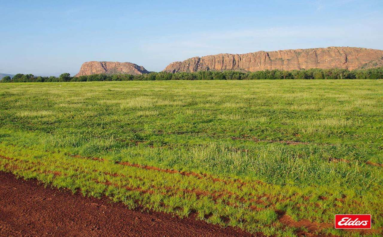 Kununurra For Sale by Farmbuy.com - image 11