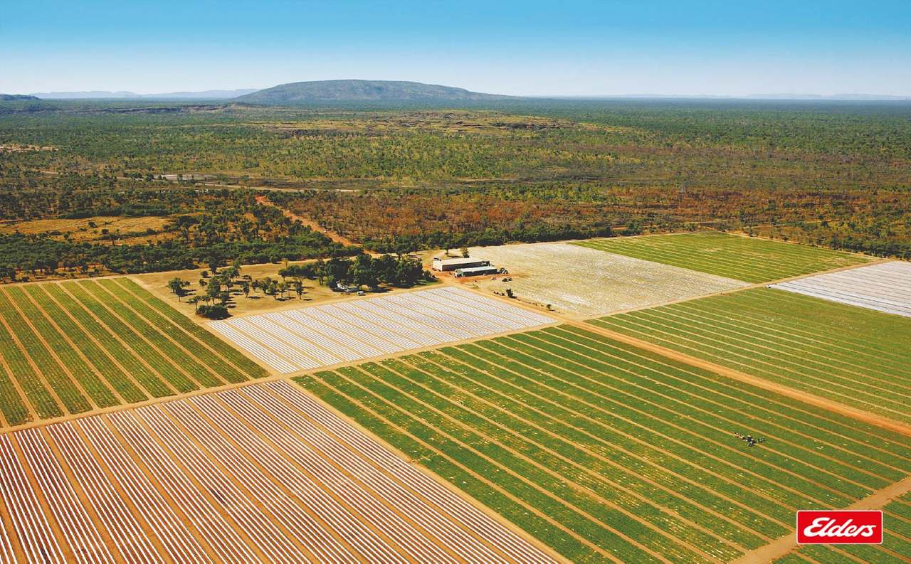 Kununurra For Sale by Farmbuy.com - image 4