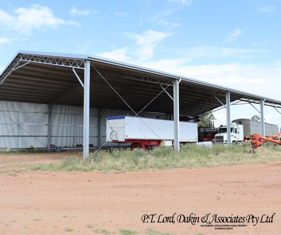 Collie Auction by Farmbuy.com - image 2