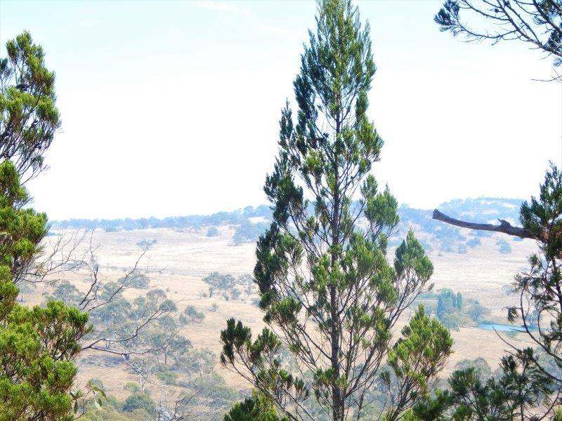 Lot 354  & Lot 1 Maffra Road, Cooma Sold by Farmbuy.com - image 5