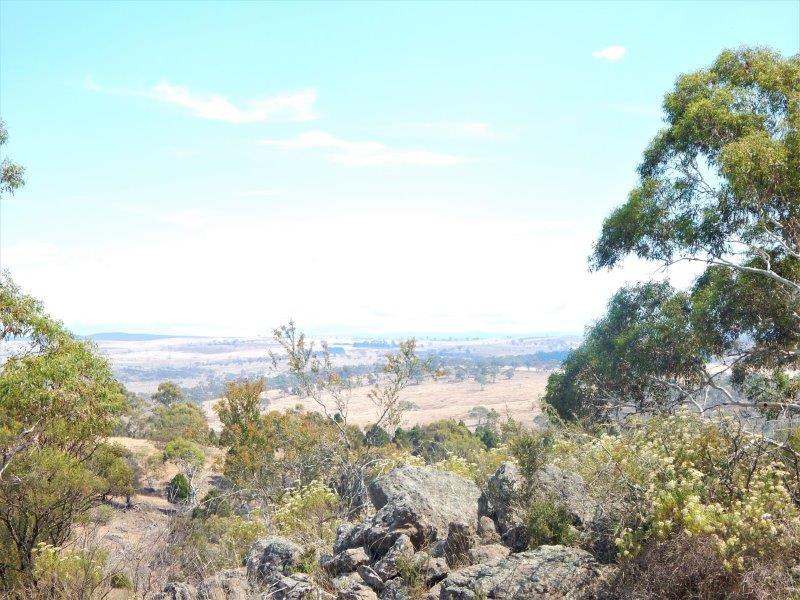 Lot 354  & Lot 1 Maffra Road, Cooma Sold by Farmbuy.com - image 15
