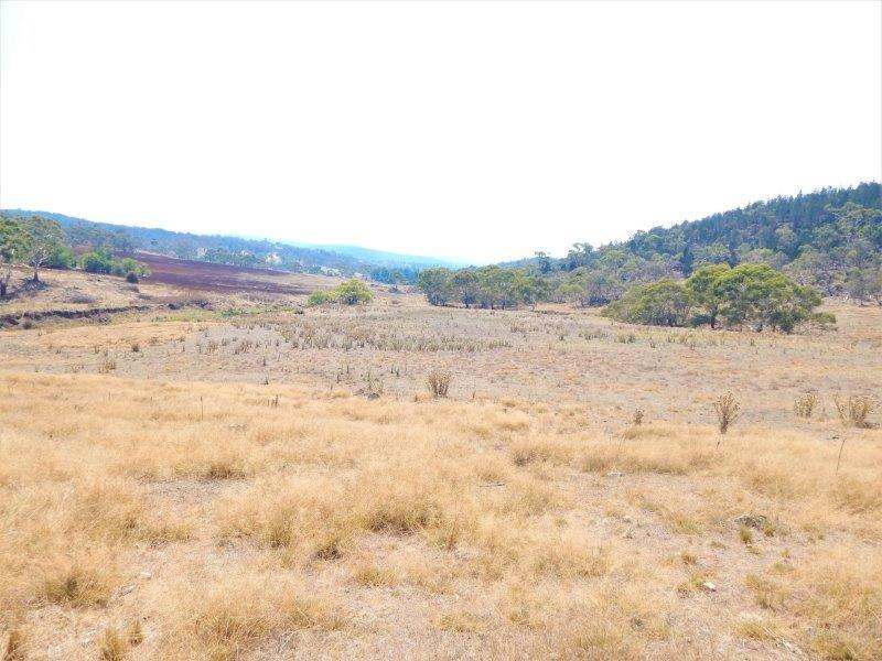 Lot 354  & Lot 1 Maffra Road, Cooma Sold by Farmbuy.com - image 8