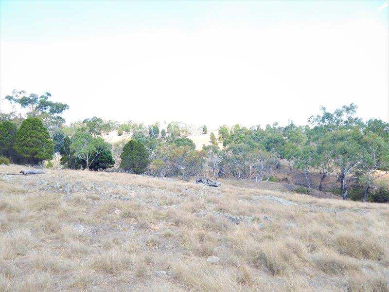 Lot 354  & Lot 1 Maffra Road, Cooma Sold by Farmbuy.com - image 13