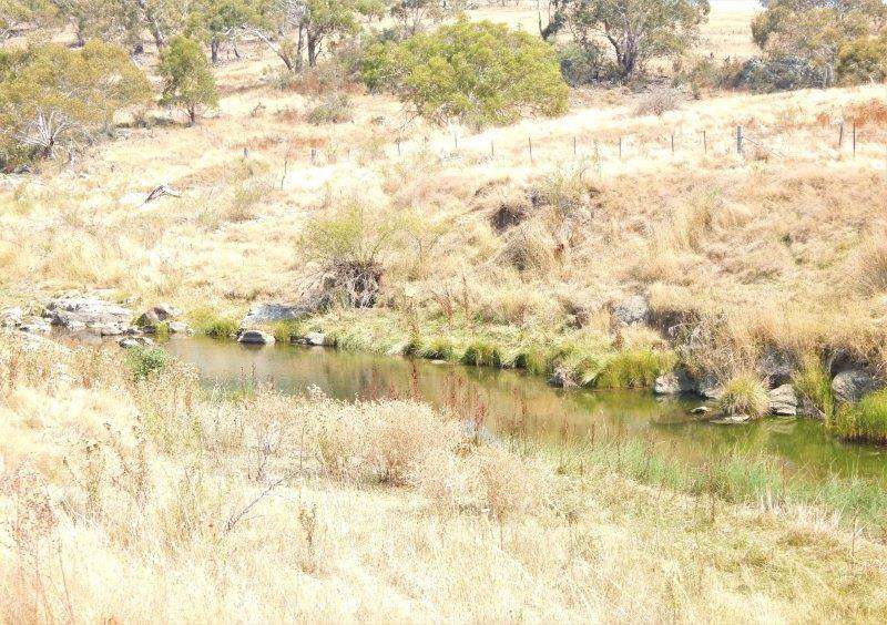 Lot 354  & Lot 1 Maffra Road, Cooma Sold by Farmbuy.com - image 10