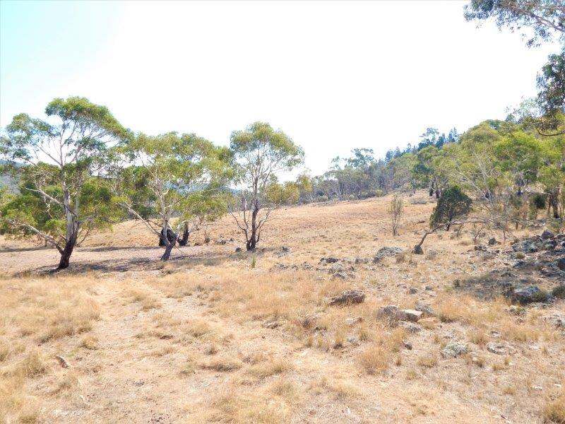 Lot 354  & Lot 1 Maffra Road, Cooma Sold by Farmbuy.com - image 6