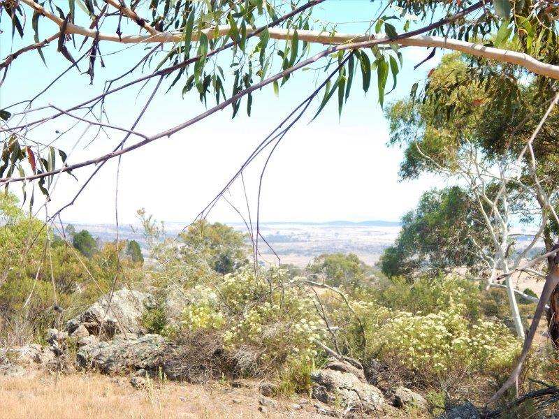 Lot 354  & Lot 1 Maffra Road, Cooma Sold by Farmbuy.com - image 14