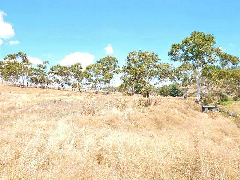 Lot 354  & Lot 1 Maffra Road, Cooma Sold by Farmbuy.com - image 12