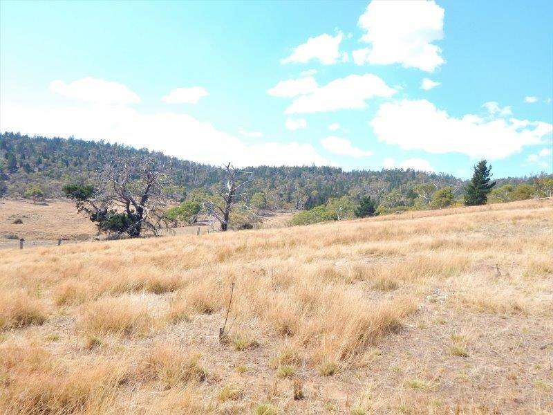 Lot 354  & Lot 1 Maffra Road, Cooma Sold by Farmbuy.com - image 9