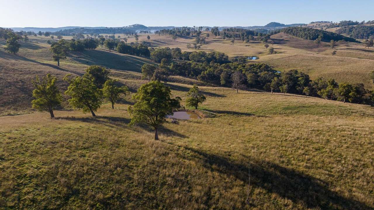 338 Niangala-Flags Road, Walcha Sold by Farmbuy.com - image 13