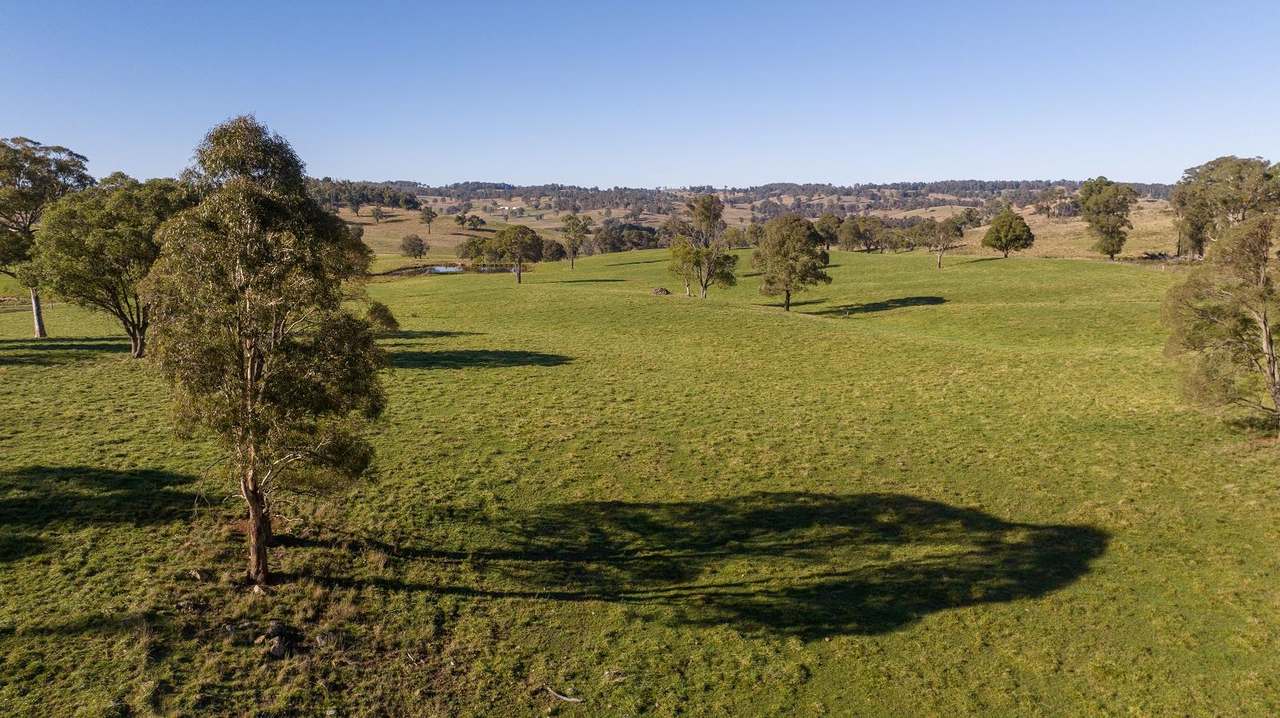 338 Niangala-Flags Road, Walcha Sold by Farmbuy.com - image 15