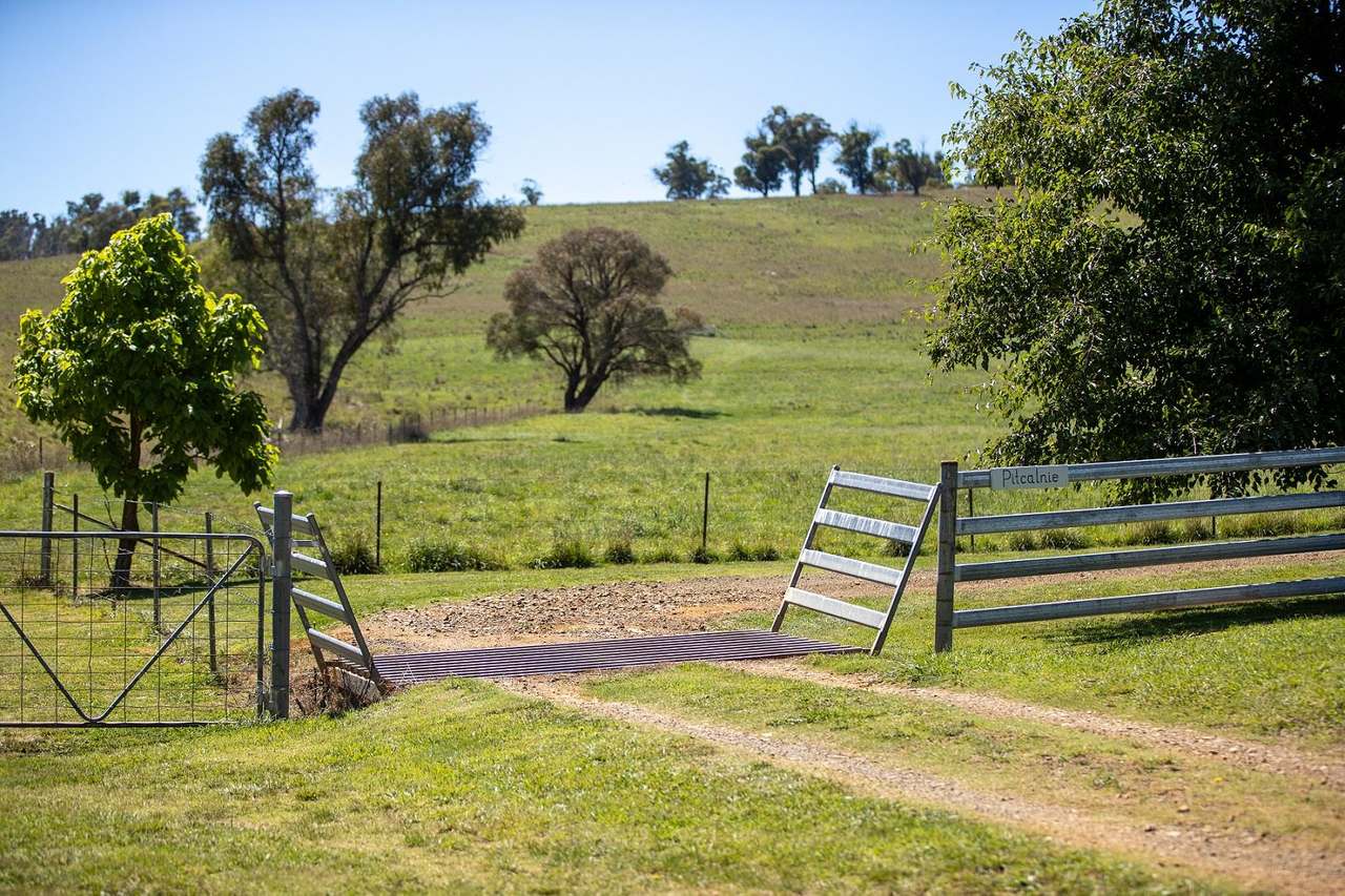 338 Niangala-Flags Road, Walcha Sold by Farmbuy.com - image 2