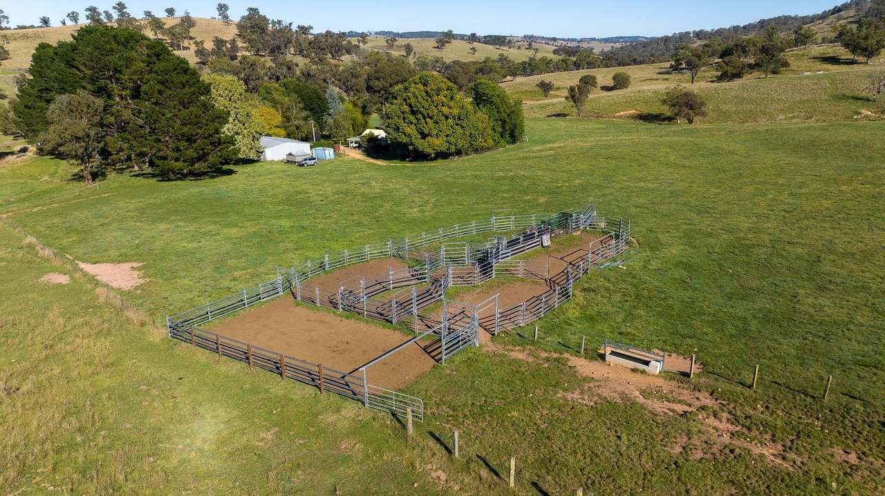 338 Niangala-Flags Road, Walcha Sold by Farmbuy.com - image 12