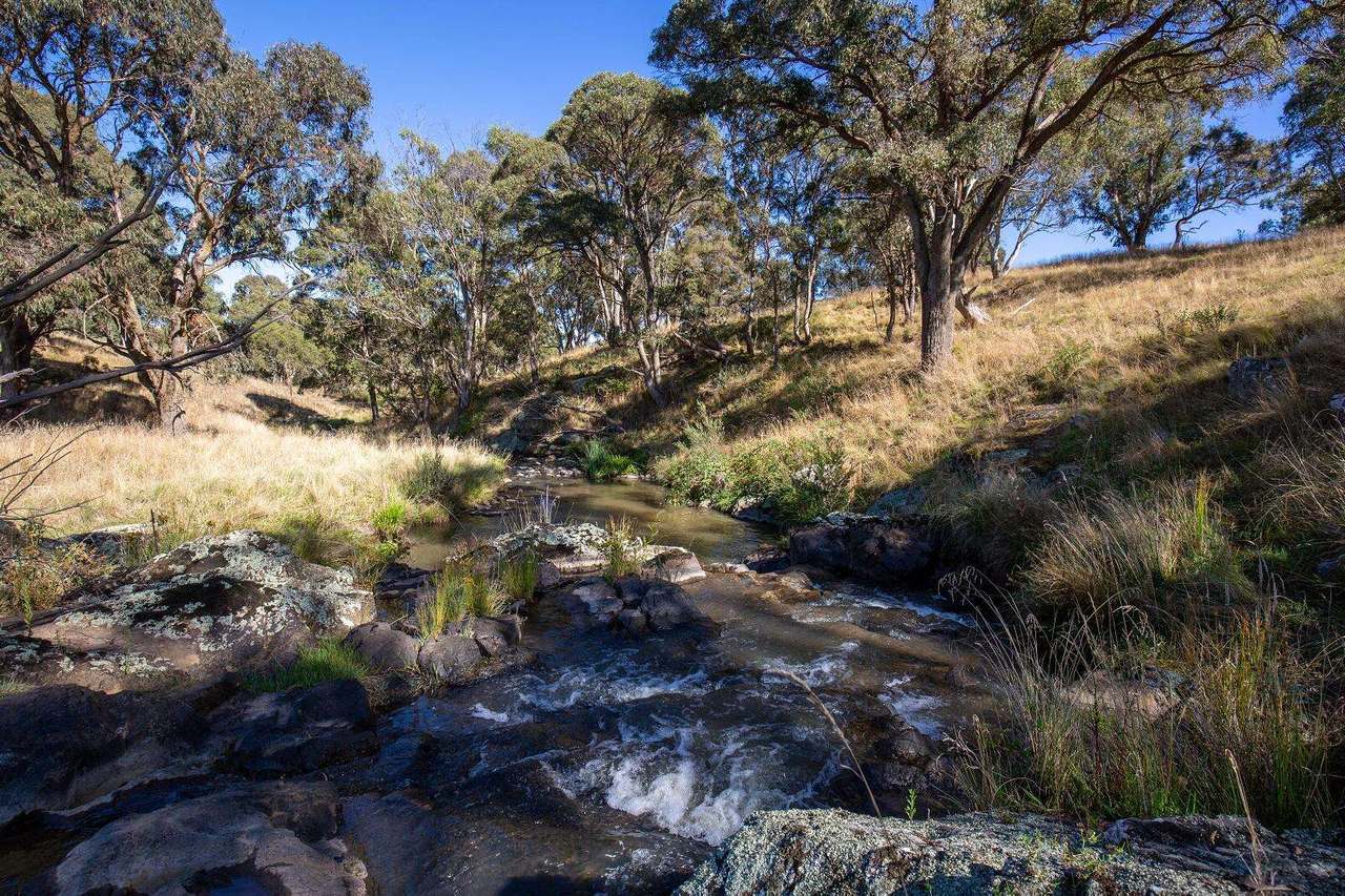 338 Niangala-Flags Road, Walcha Sold by Farmbuy.com - image 20