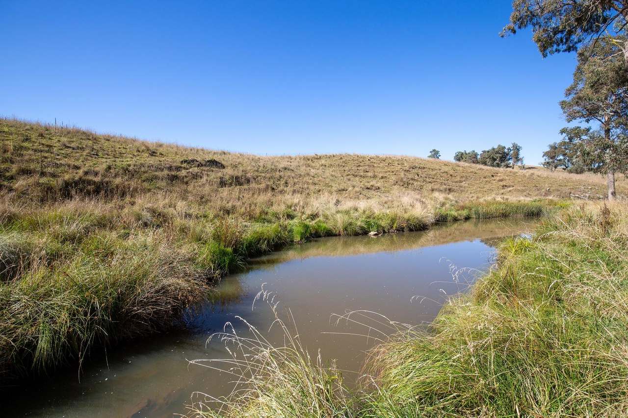 338 Niangala-Flags Road, Walcha Sold by Farmbuy.com - image 19