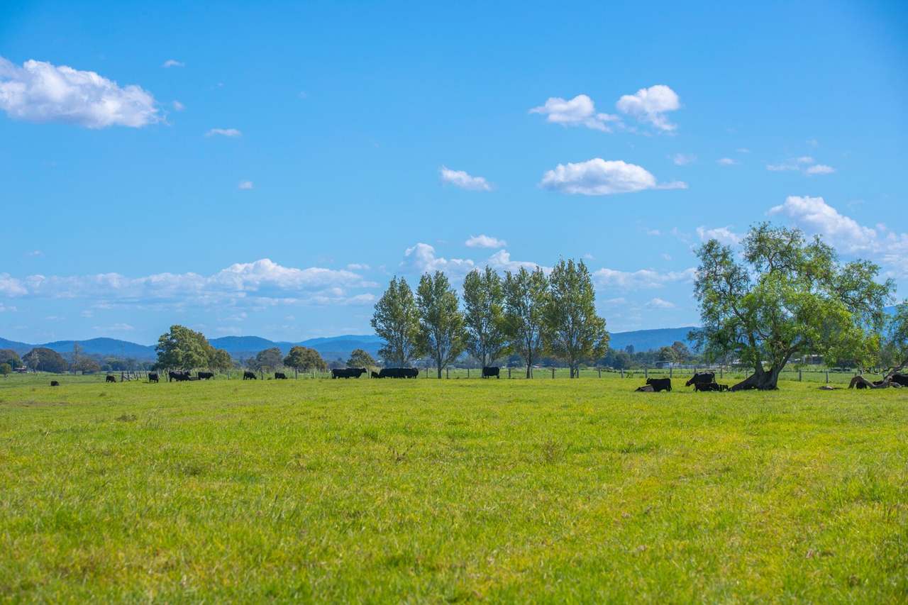 145 Third Lane, Kempsey Sold by Farmbuy.com - image 2
