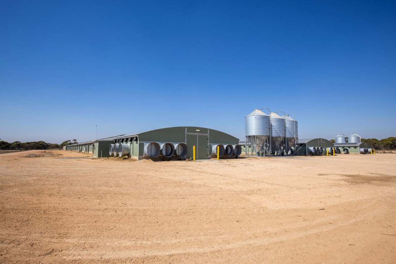 Section 237 Rathjen Road, MYPOLONGA Sold by Farmbuy.com - image 8