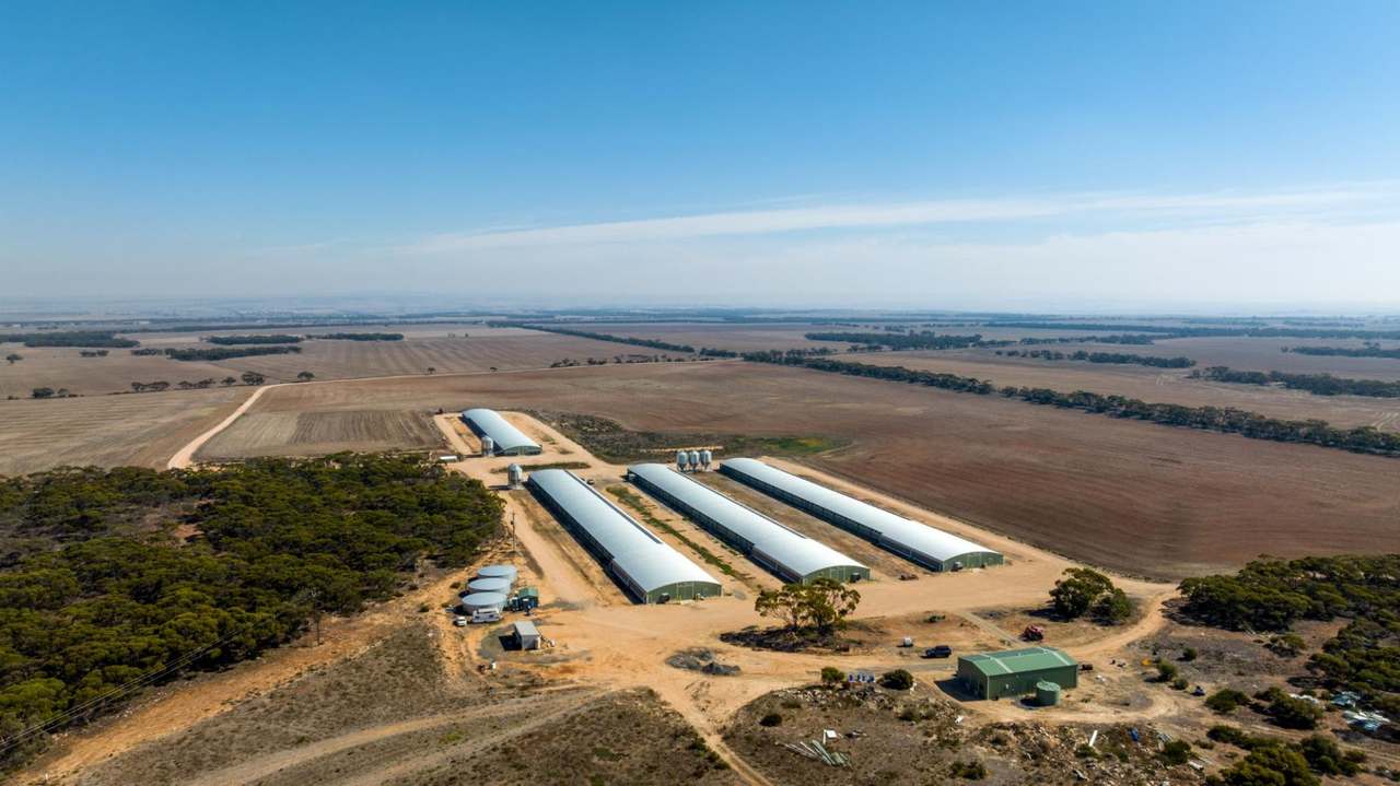 Section 237 Rathjen Road, MYPOLONGA Sold by Farmbuy.com - image 3