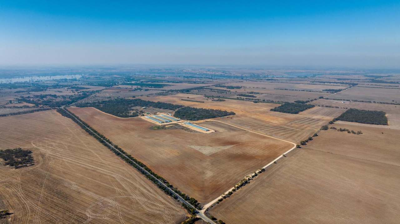 Section 237 Rathjen Road, MYPOLONGA Sold by Farmbuy.com - image 12