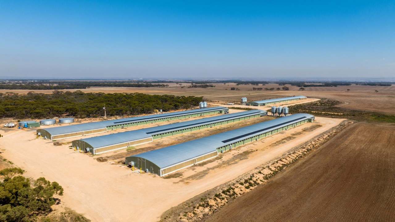 Section 237 Rathjen Road, MYPOLONGA Sold by Farmbuy.com - image 2