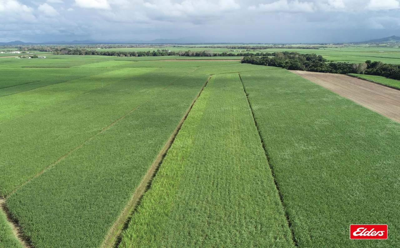 25972 Peak Downs Highway, Alexandra Auction by Farmbuy.com - image 2