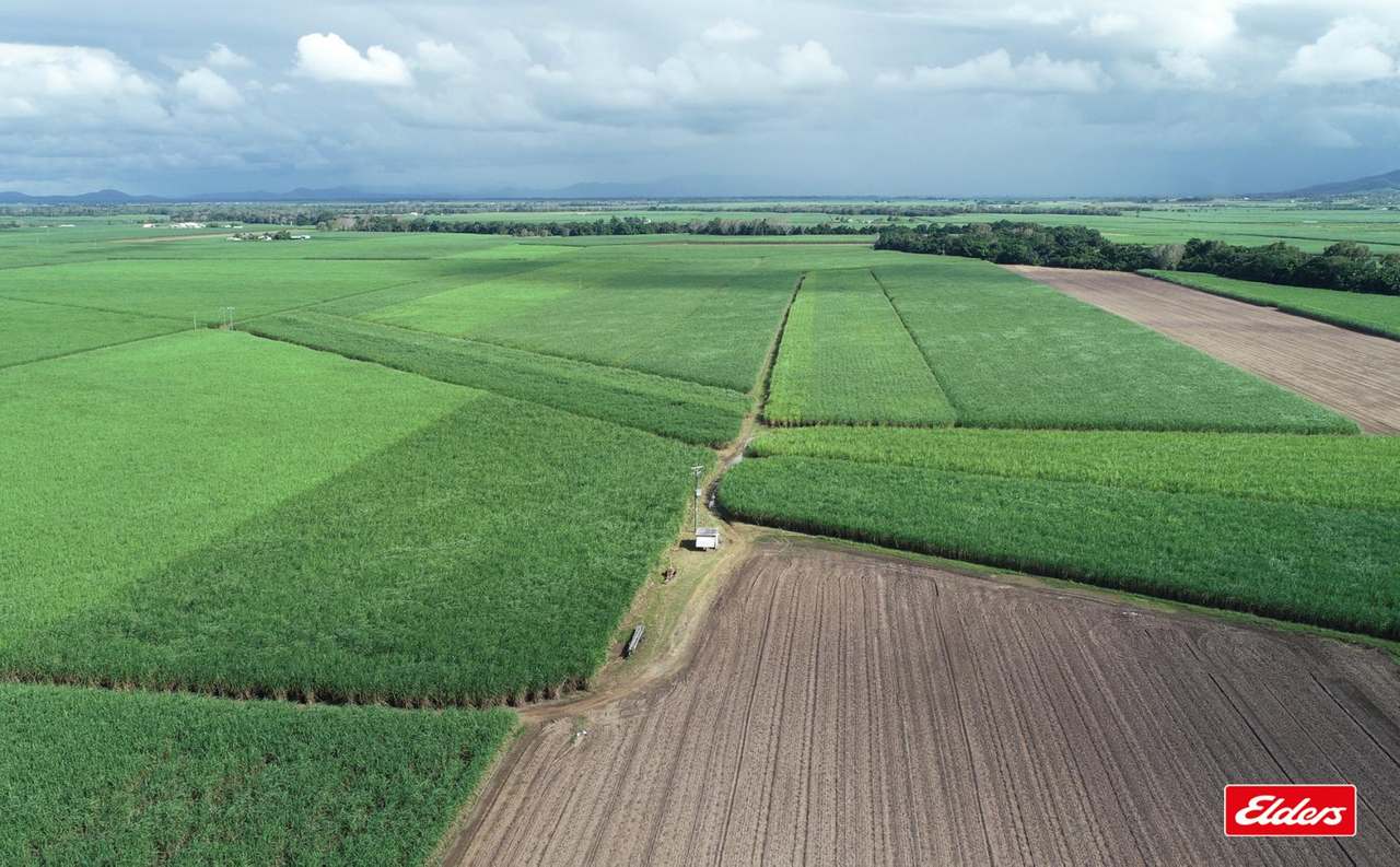 25972 Peak Downs Highway, Alexandra Auction by Farmbuy.com - image 6