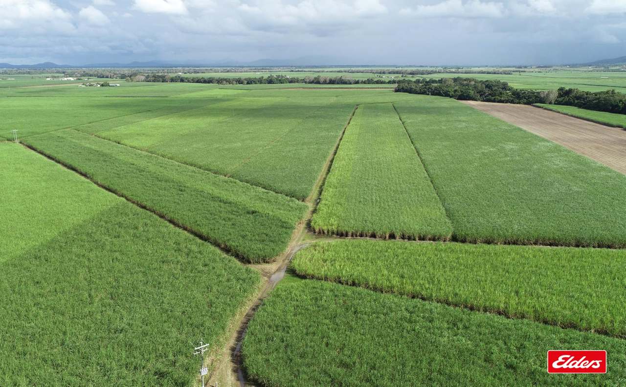 25972 Peak Downs Highway, Alexandra Auction by Farmbuy.com - image 5