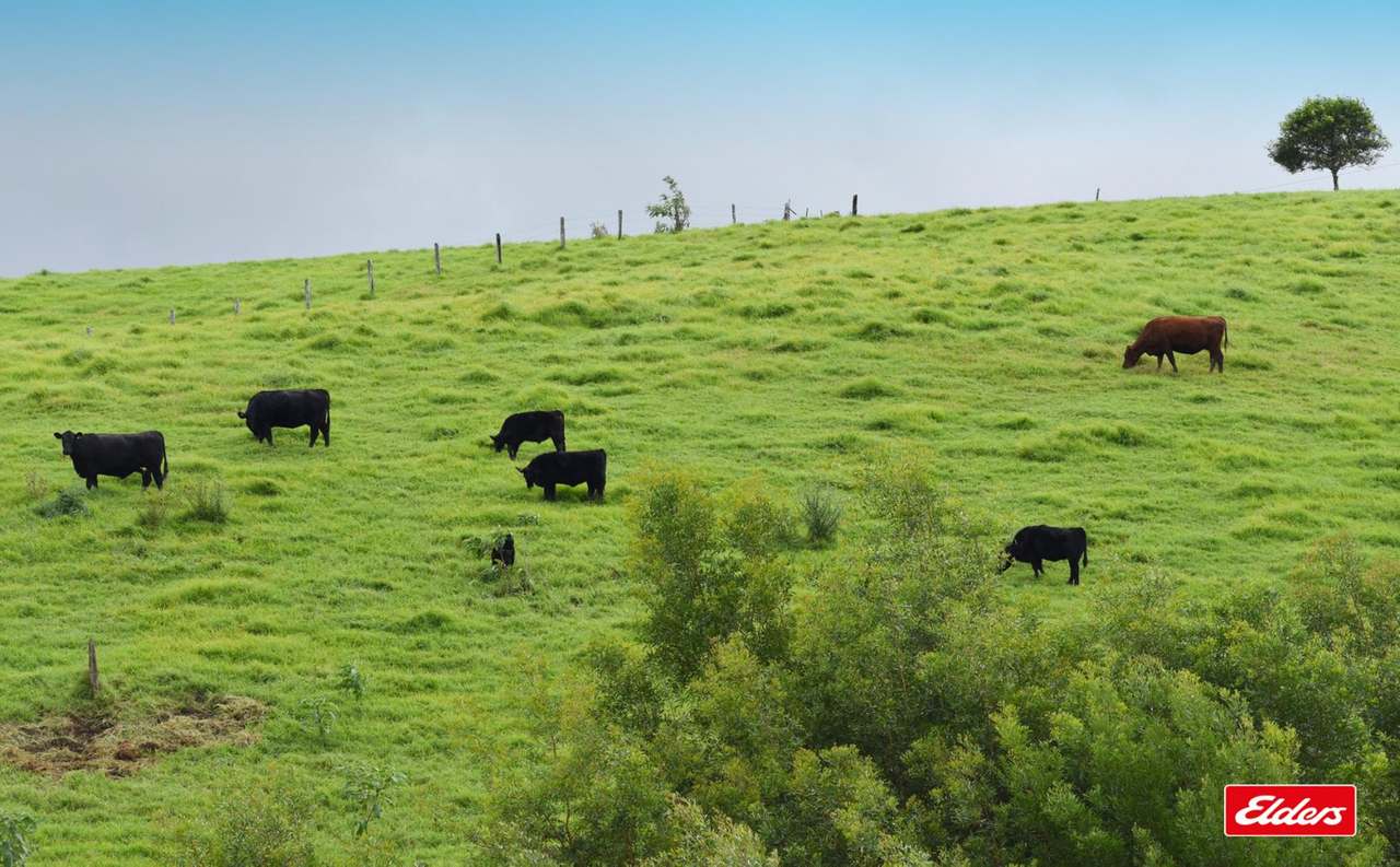 4 Lex Creek Road, Crediton Auction by Farmbuy.com - image 10