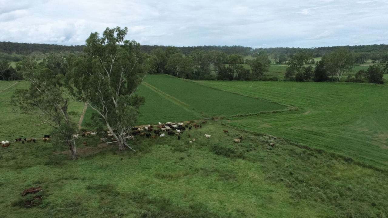 154 Staatz Road, Moonford  For Sale by Farmbuy.com - image 8