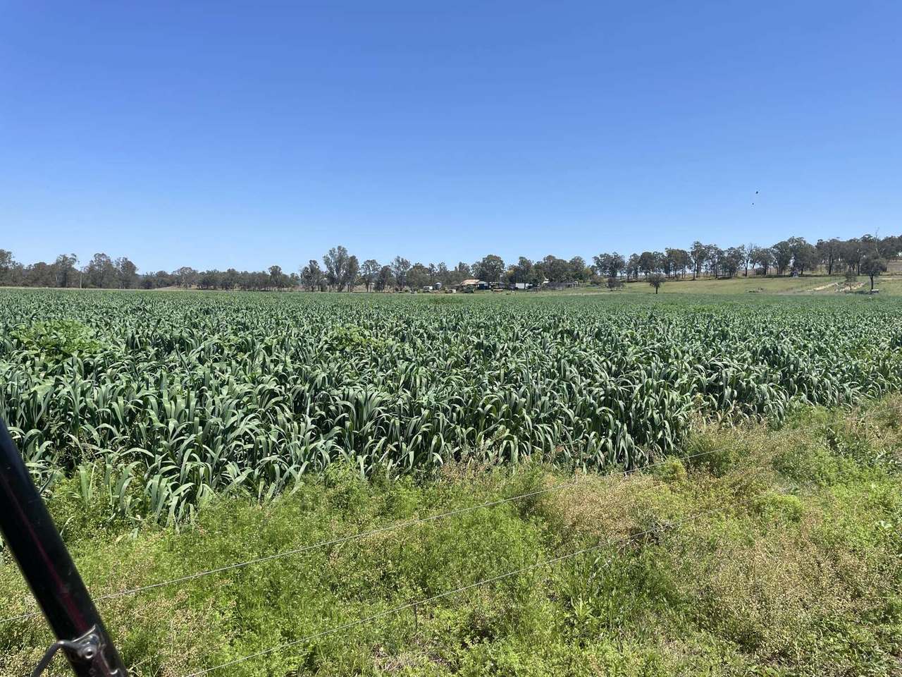 154 Staatz Road, Moonford  For Sale by Farmbuy.com - image 22