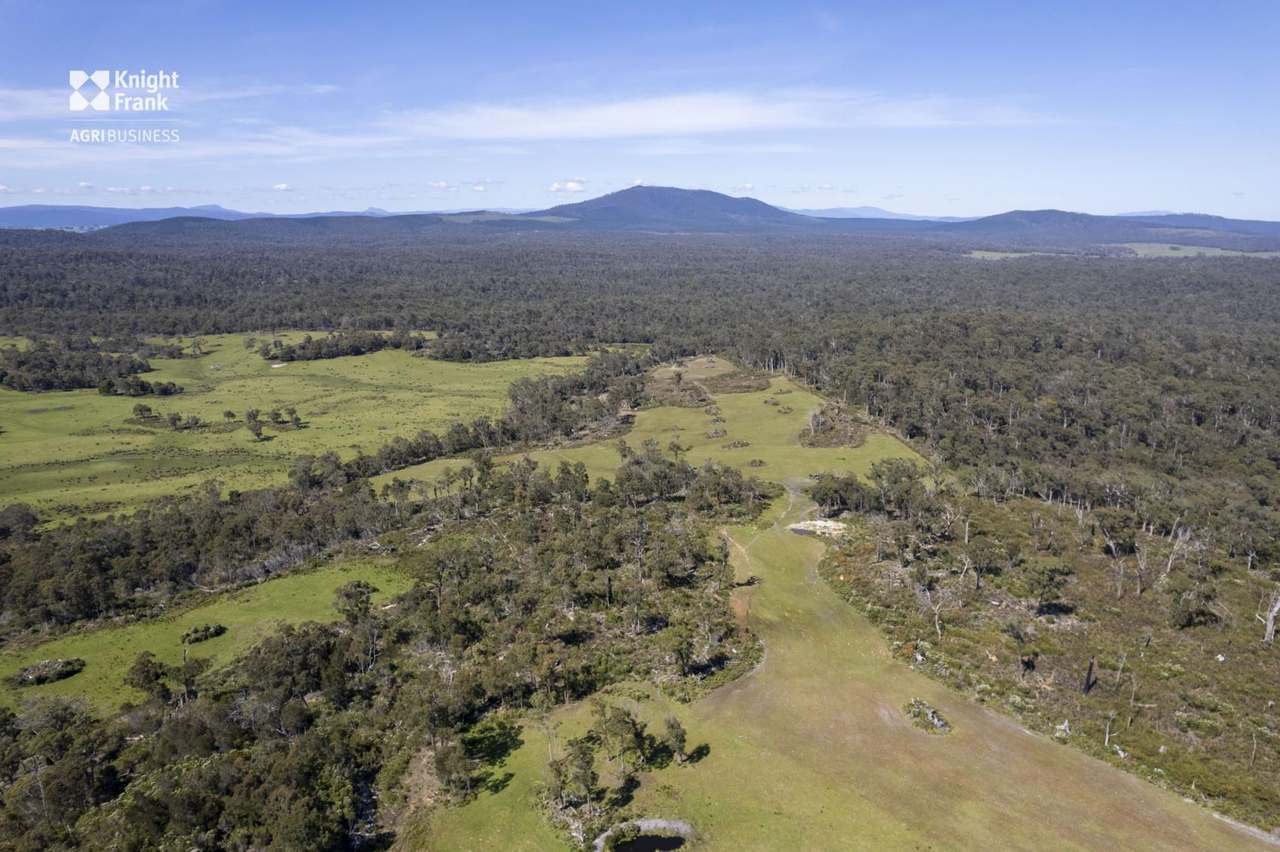 Banca Road, Banca Sold by Farmbuy.com - image 10