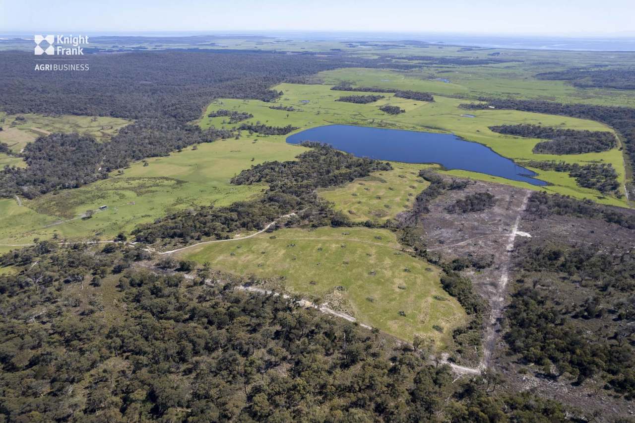 Banca Road, Banca Sold by Farmbuy.com - image 28