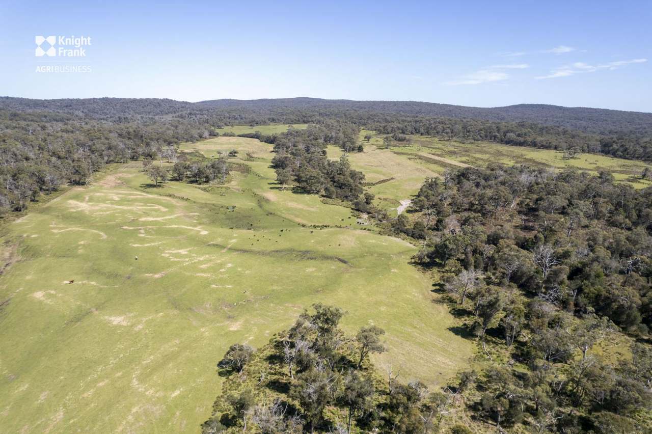 Banca Road, Banca Sold by Farmbuy.com - image 34