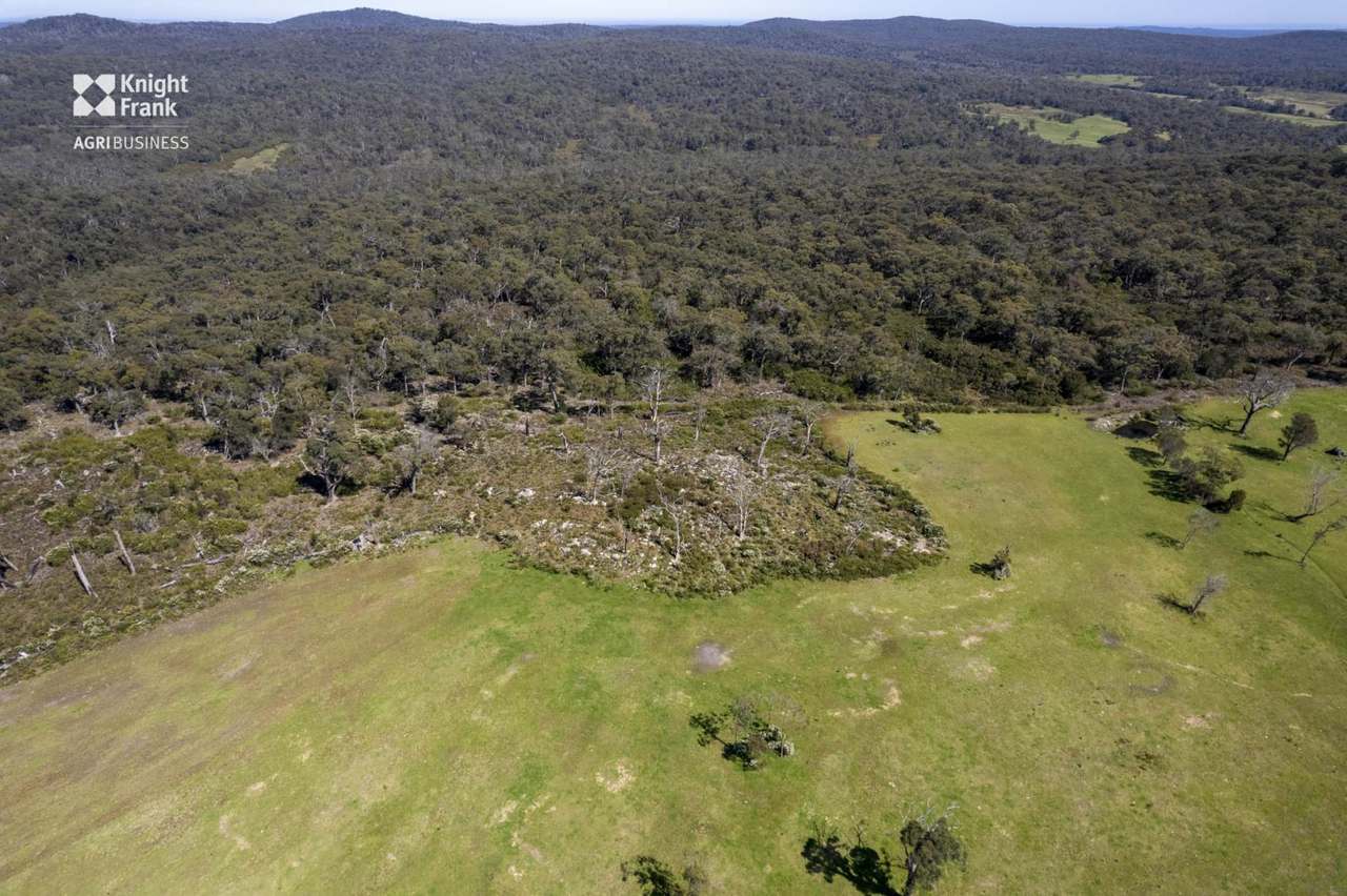 Banca Road, Banca Sold by Farmbuy.com - image 12