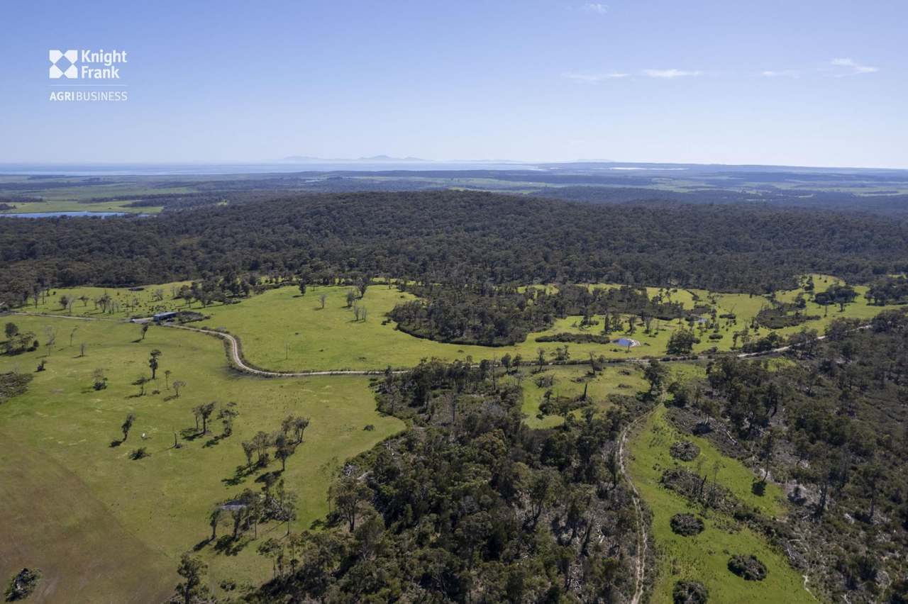 Banca Road, Banca Sold by Farmbuy.com - image 14