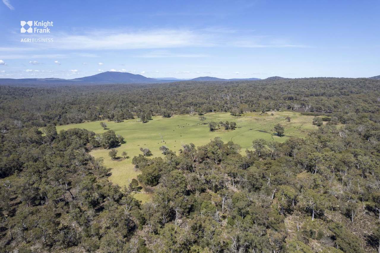 Banca Road, Banca Sold by Farmbuy.com - image 35