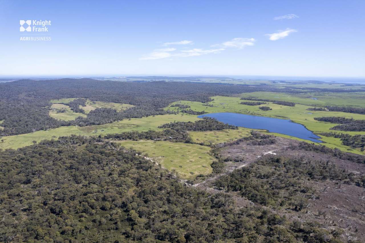 Banca Road, Banca Sold by Farmbuy.com - image 4